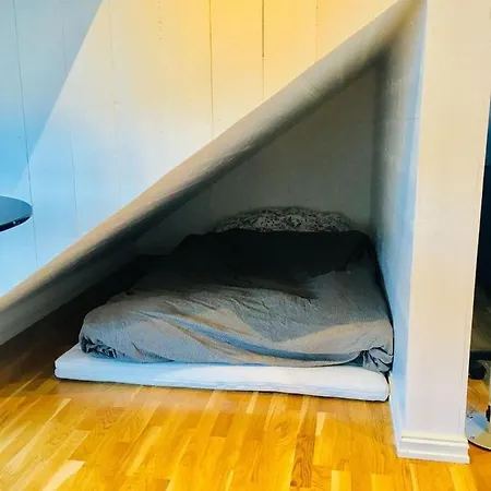 Oseberg Willa *